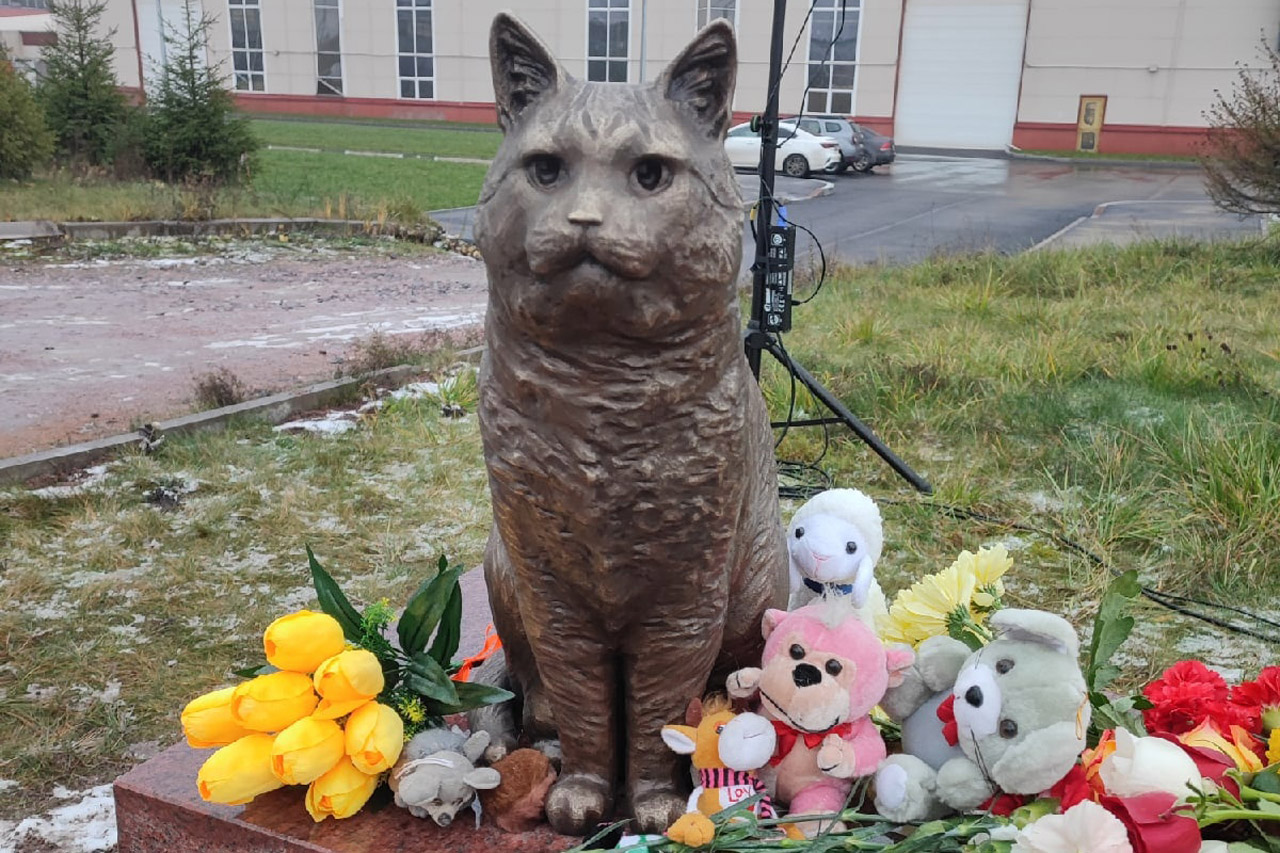 Скульптор из Челябинска создала памятник коту, которого убили живодеры
