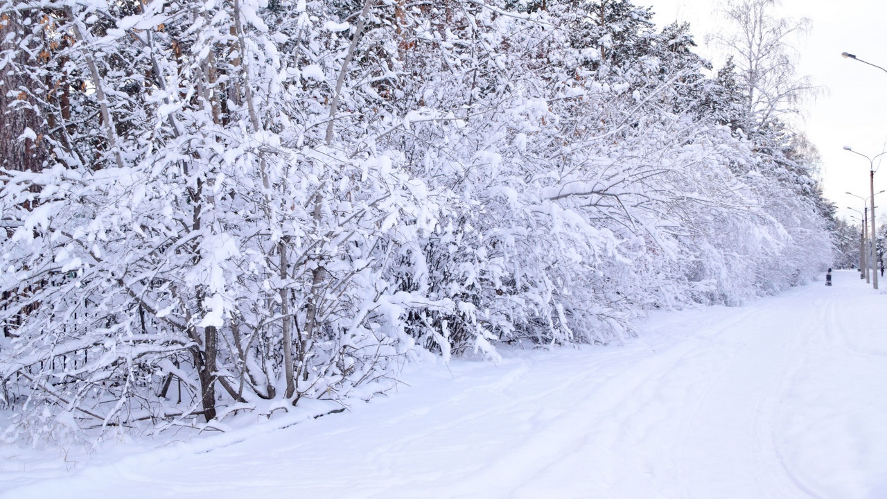 Похолодание до -34 градусов ожидается в Челябинской области