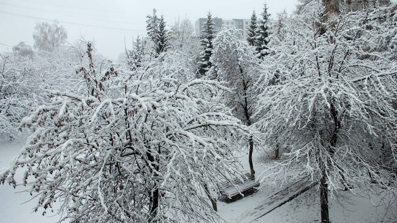 Морозы и порывистый ветер ожидаются в Челябинской области
