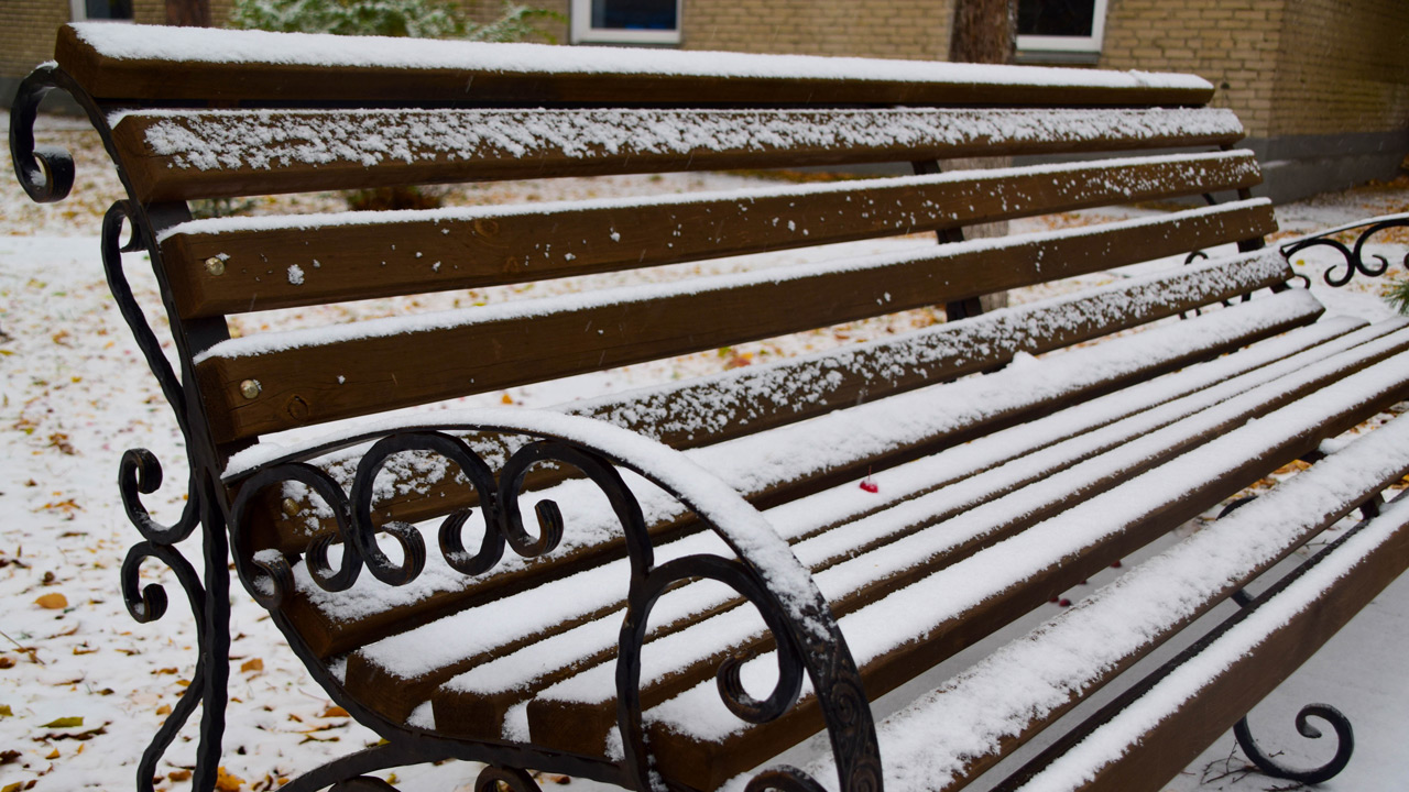 Гололедицу и снег прогнозируют синоптики в Челябинской области