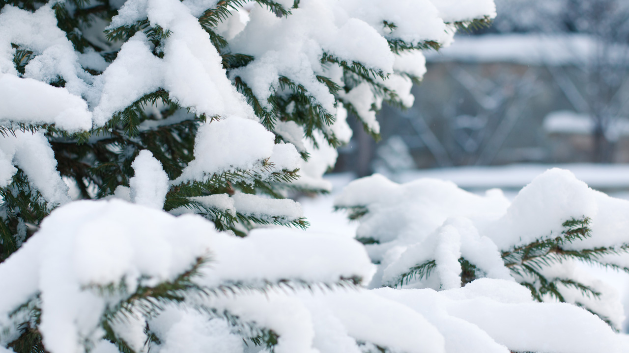 МЧС выступило с предупреждением о снеге и гололеде в Челябинской области
