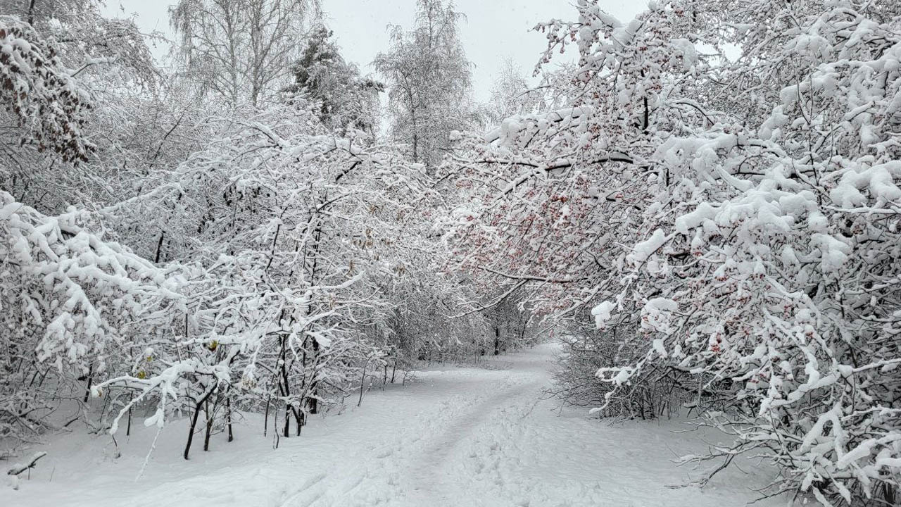 30-градусные морозы прогнозируют синоптики в Челябинской области