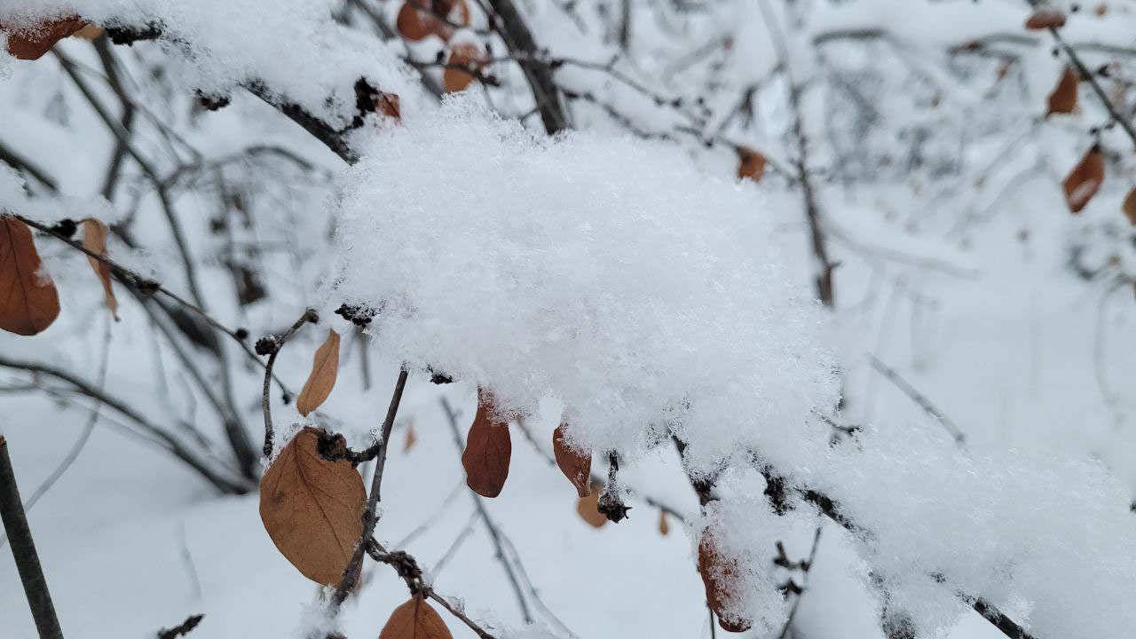 В Челябинской области рассказали, когда уйдут 30-градусные морозы