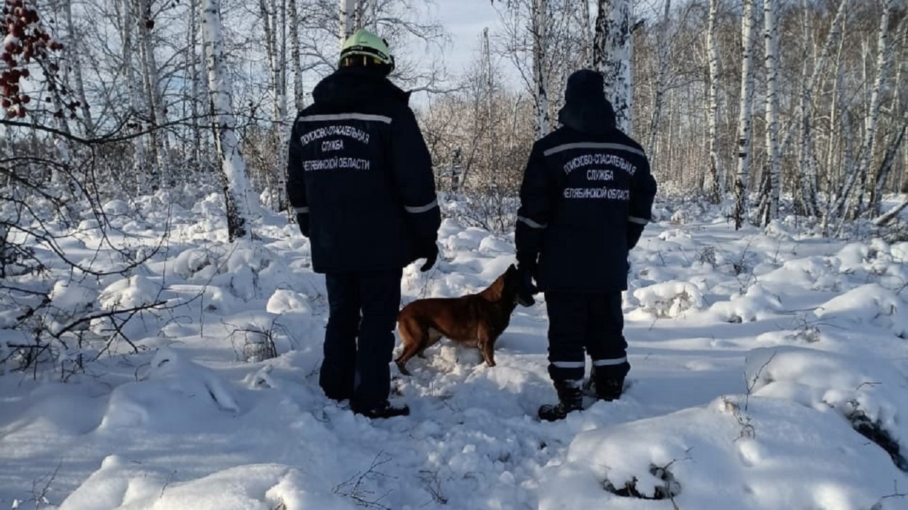 Мужчина насмерть замерз в лесу под Челябинском