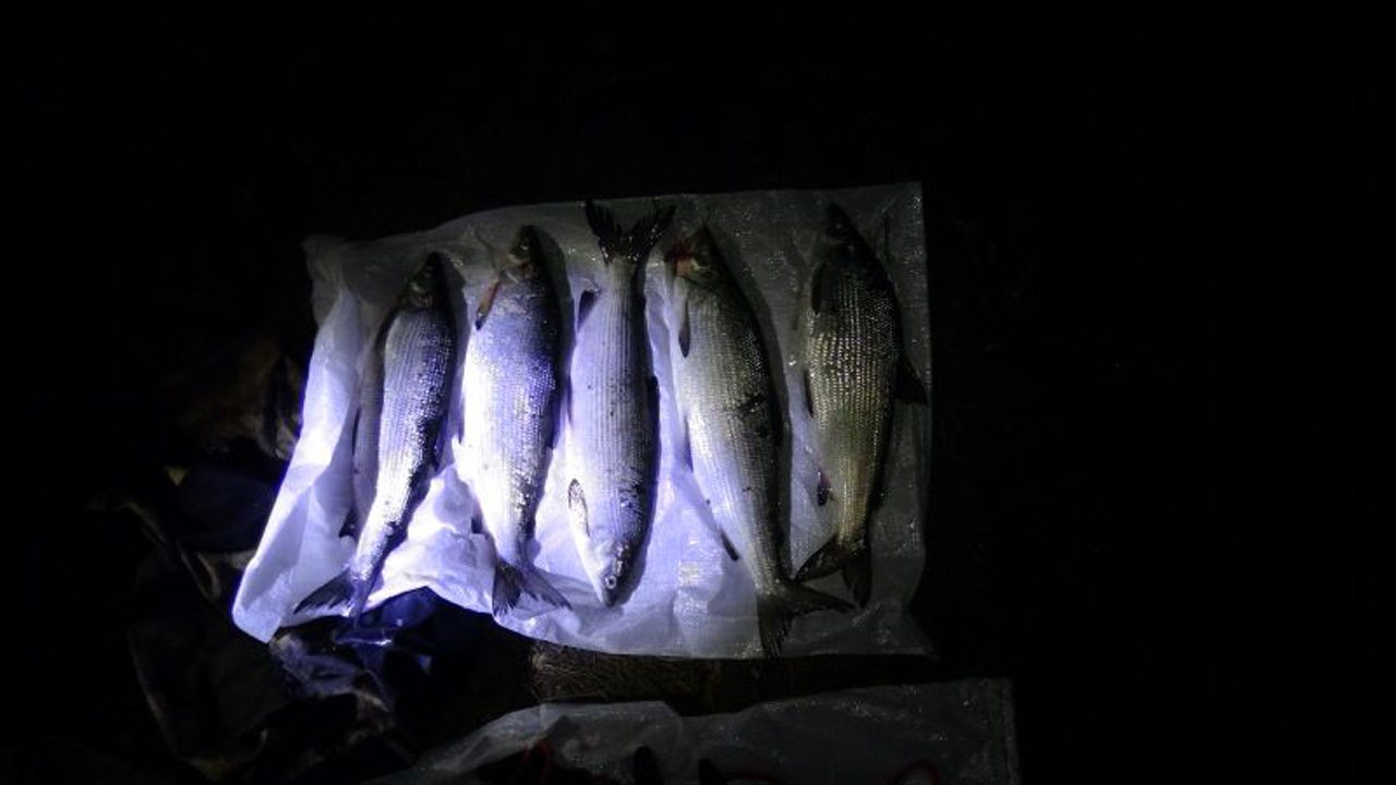 Полиция задержала жителя Челябинской области за незаконную рыбалку