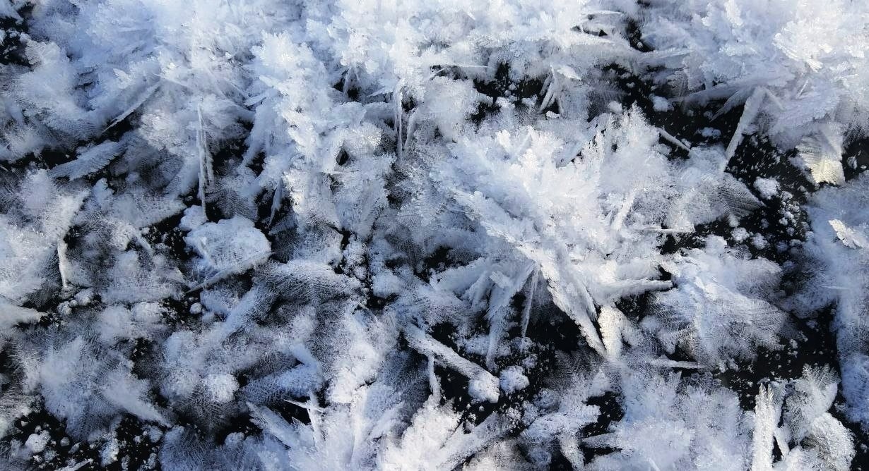 Ледяные цветы "распустились" на Урале: озера покрыл фигурный иней