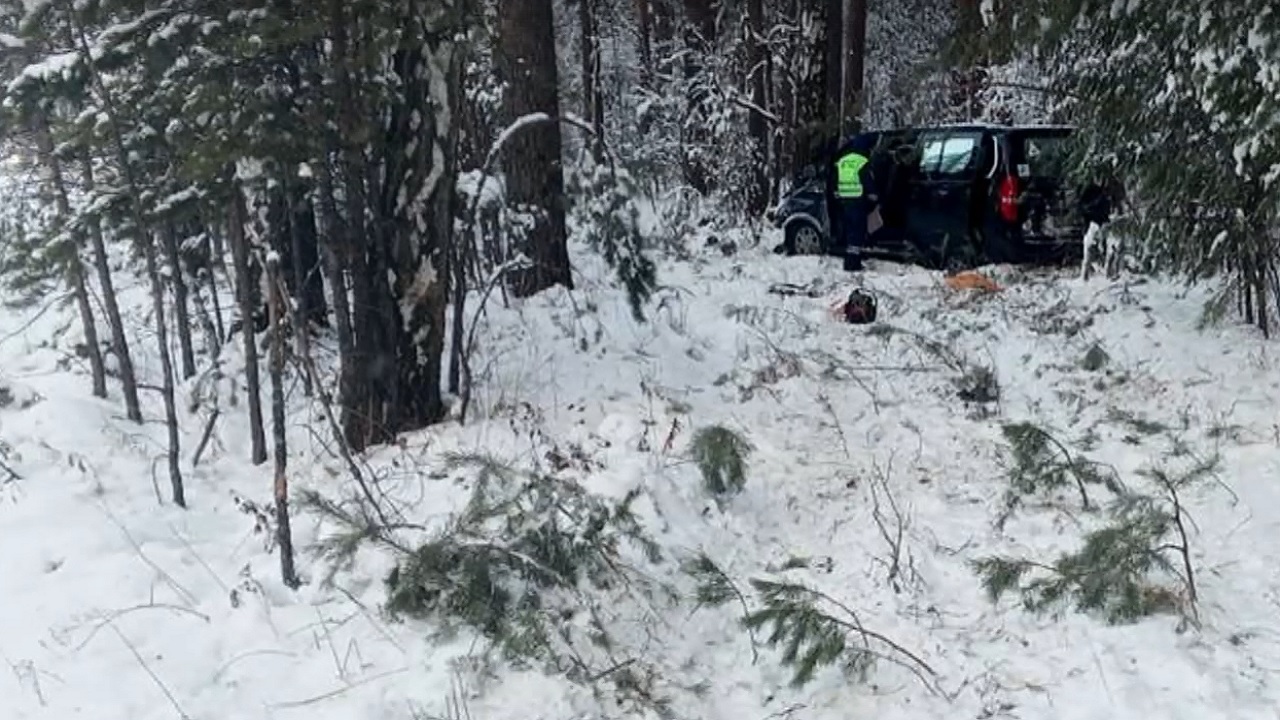 Микроавтобус с пассажирами врезался в дерево в Челябинской области: 5 человек ранены