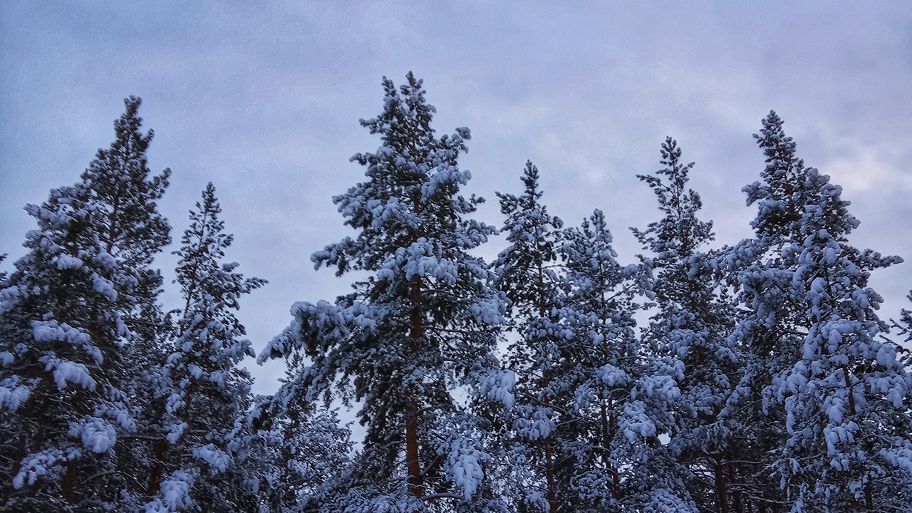 Снег, гололед и пробки: как Челябинская область встретила первые зимние морозы