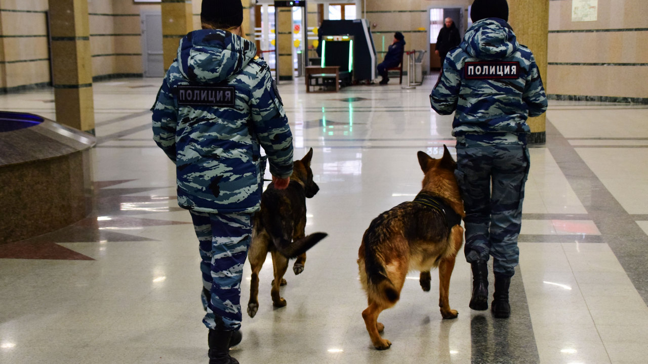 Порядок и бдительность: как обеспечивают безопасность на челябинском вокзале ФОТО: ГТРК "Южный Урал"