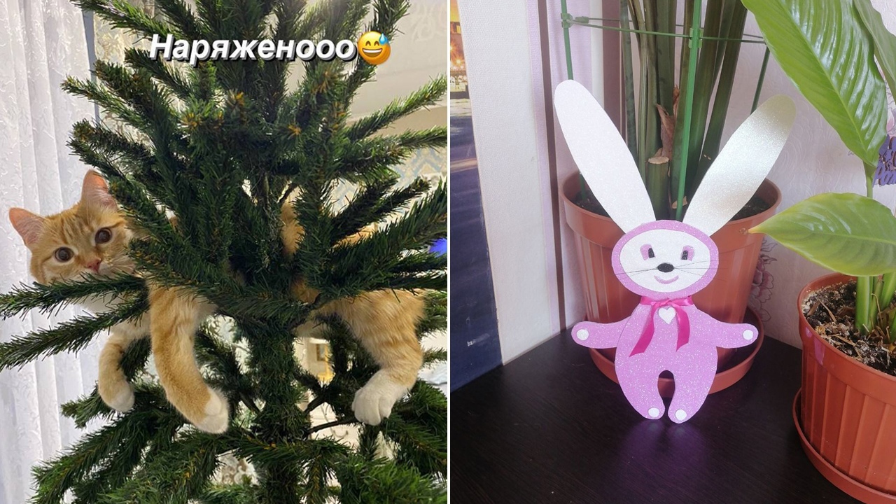 ГТРК "Южный Урал" проводит фотоконкурс елочных игрушек