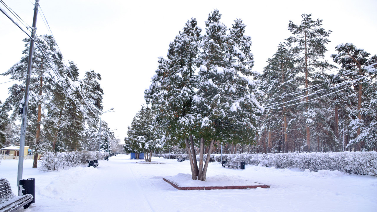 Костюмированное шествие и концерт звонарей: Рождественские гулянья пройдут в Челябинске