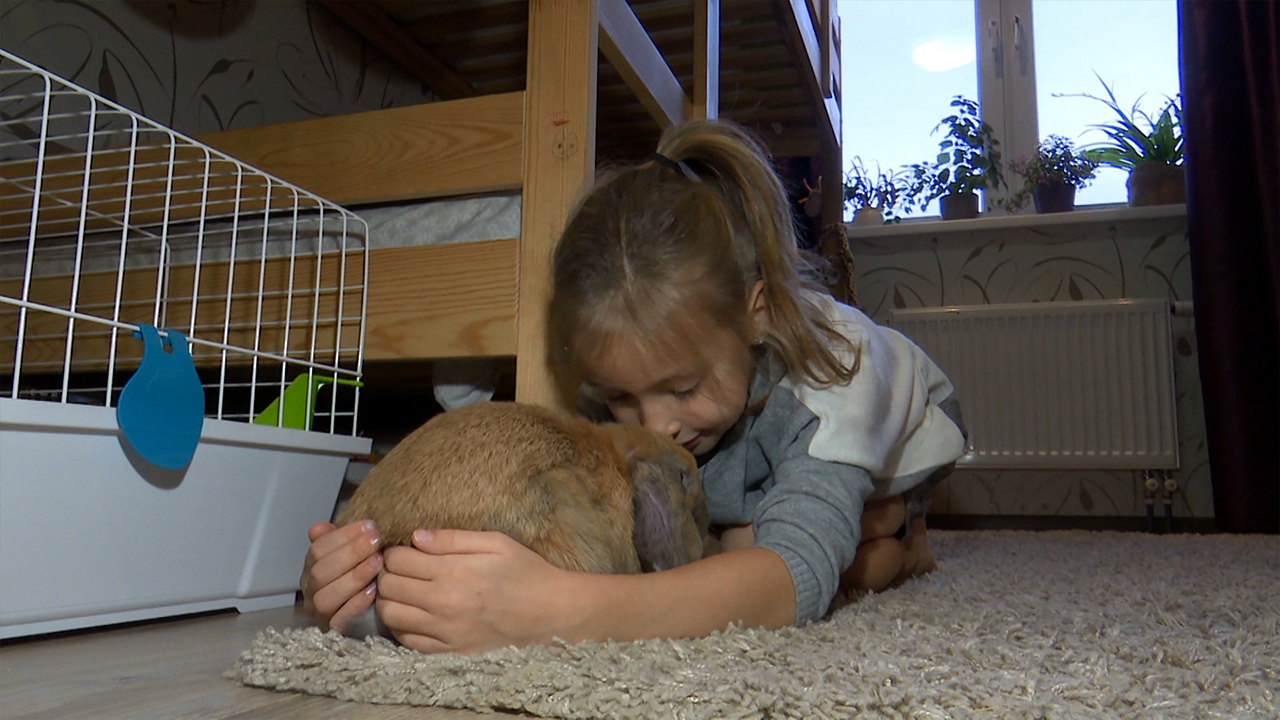 Символ года: об особенностях кроликов рассказали сотрудники зоопарка в Челябинске