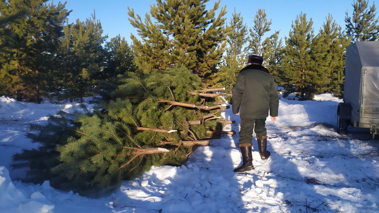 Снегоходы и квадрокоптеры: на Южном Урале патрулируют леса перед Новым годом
