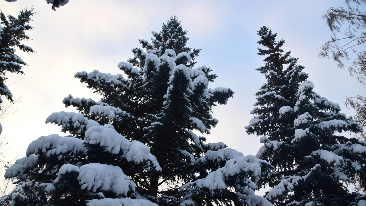 Похолодание и крепкий ветер прогнозируют синоптики в Челябинской области