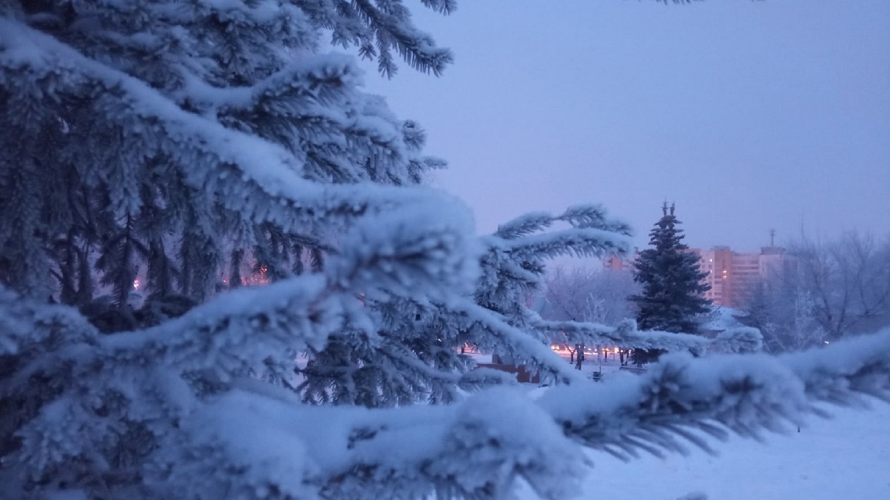 Метели, гололедицу и снегопады прогнозируют синоптики в Челябинской области