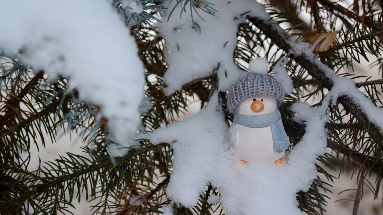 Похолодание до -27°C ожидается в Челябинской области