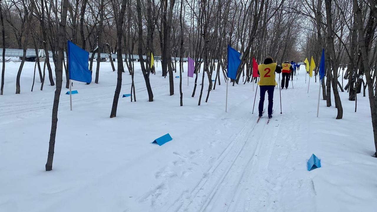 В общественных местах Челябинска впервые появились лыжные трассы
