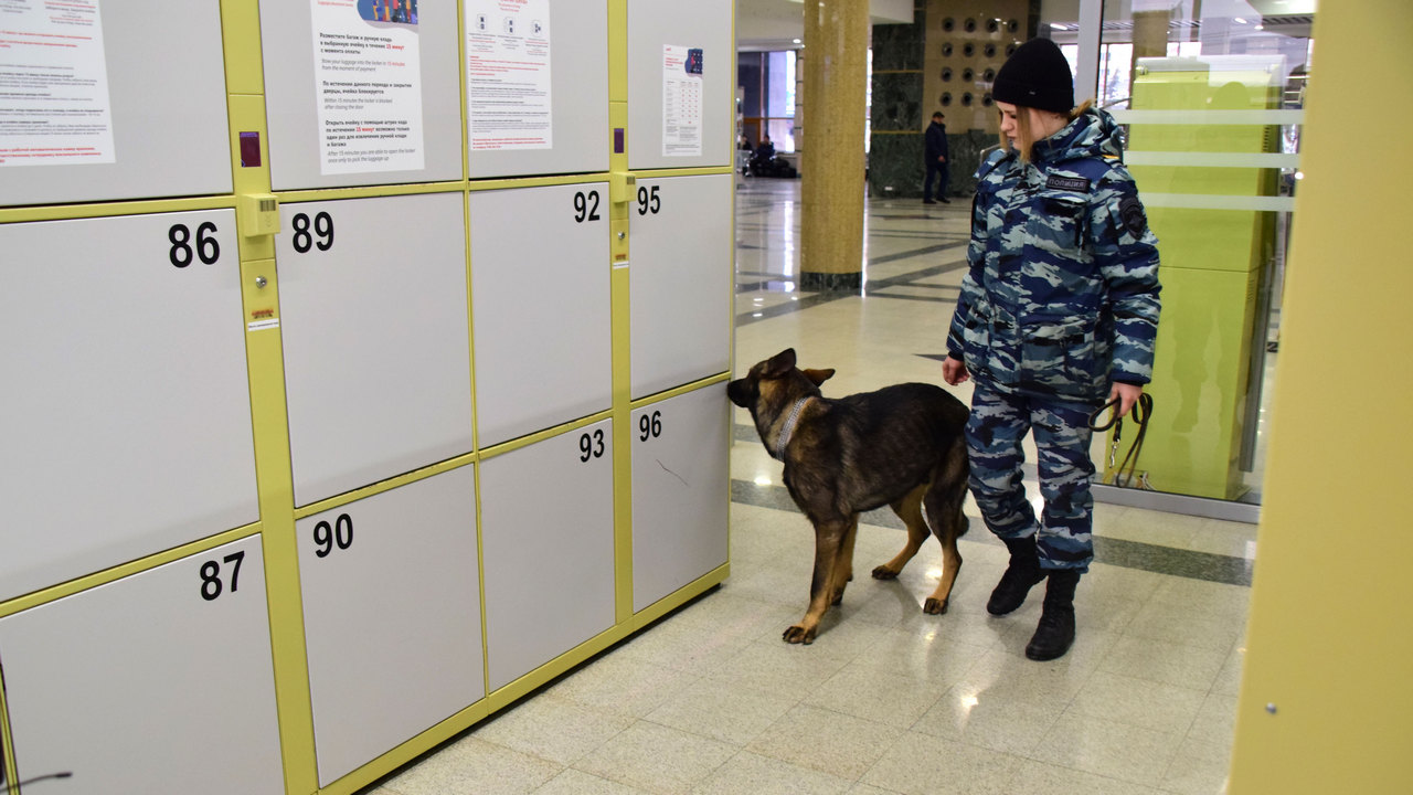 Больше 9 тысяч нарушений предотвратила полиция на транспорте в Челябинской области Больше 9 тысяч нарушений предотвратила полиция на транспорте в Челябинской области