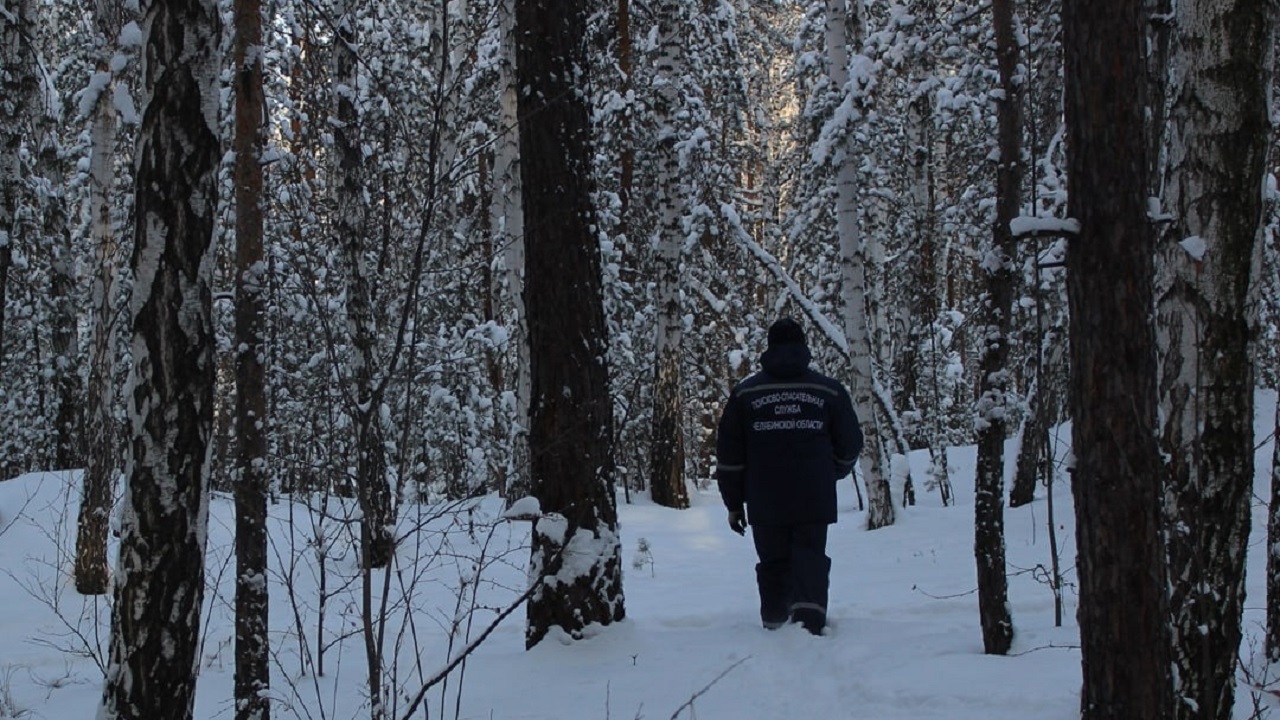 В Челябинской области двое мужчин заблудились в лесу и едва не замерзли насмерть
