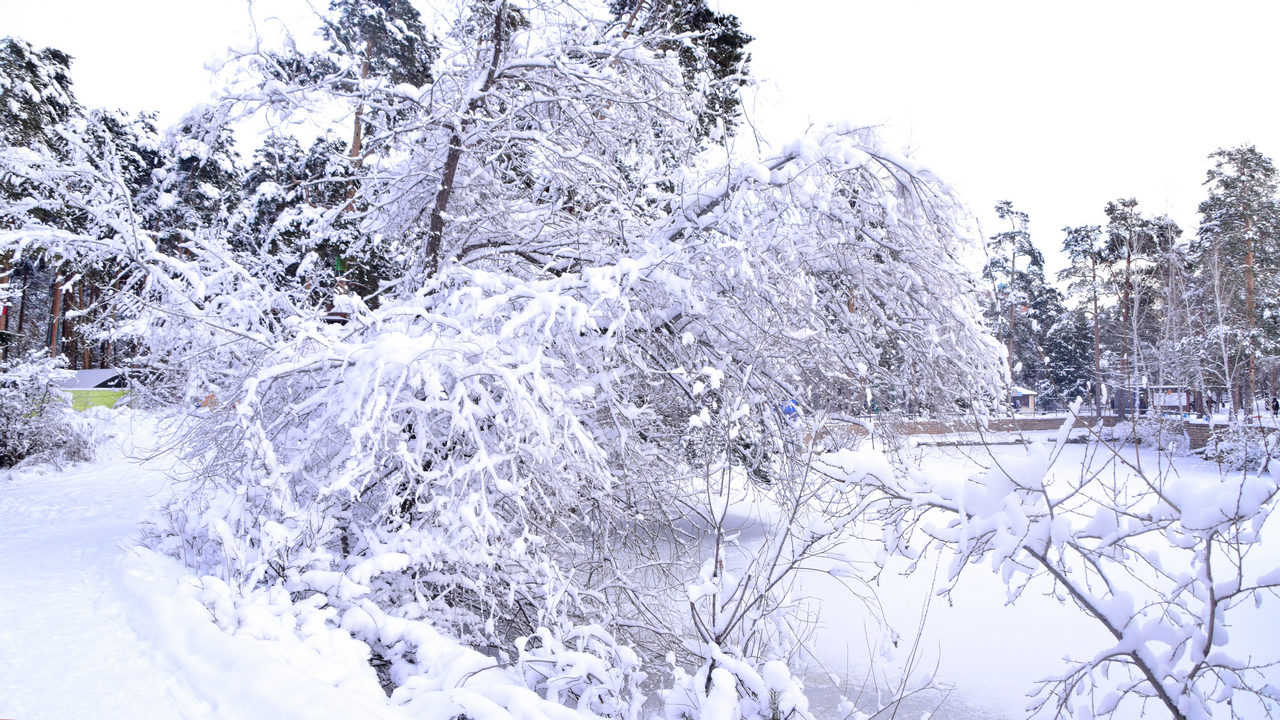 Похолодание до -30 градусов ожидается в Челябинской области