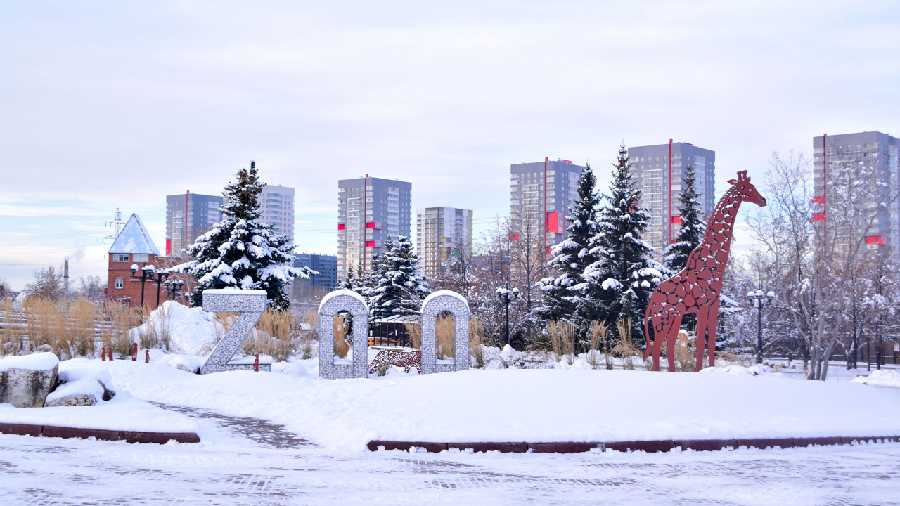 Жираф в зоопарке Челябинска: сколько стоит животное и какой вольер для него нужен