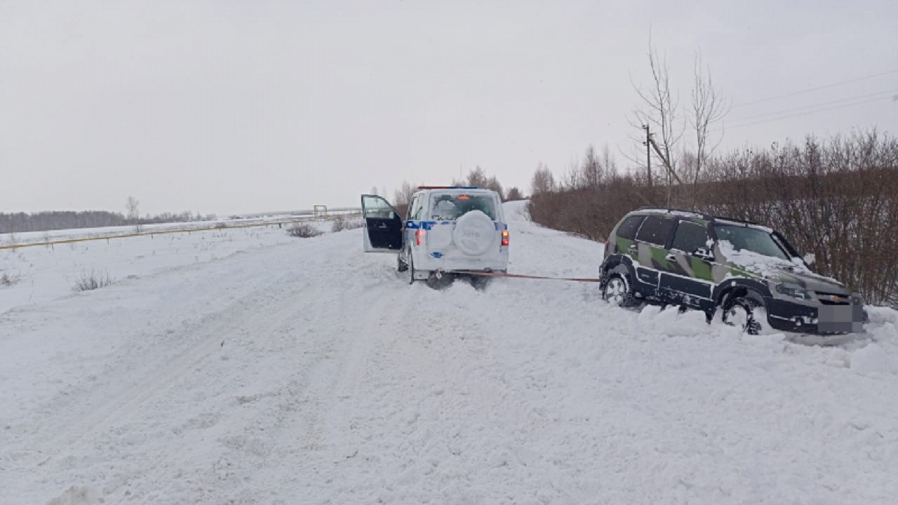 Полицейские в Челябинской области спасли водителей, застрявших на дороге в метель
