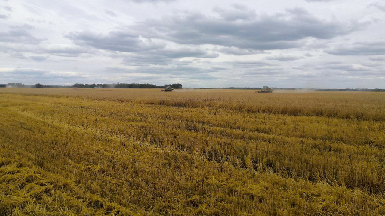 Уникальный вибрирующий плуг удалось разработать ученым из Челябинска