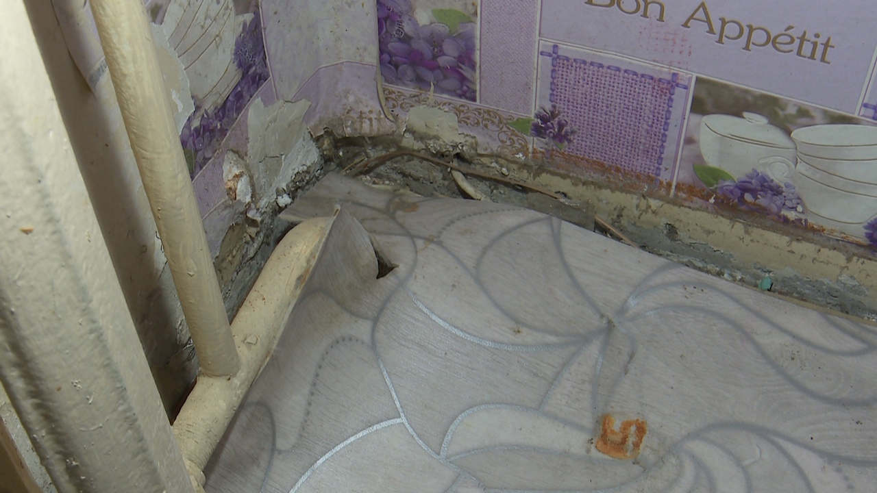 Полчища крыс много лет беспокоят жителей многоэтажки в Челябинске