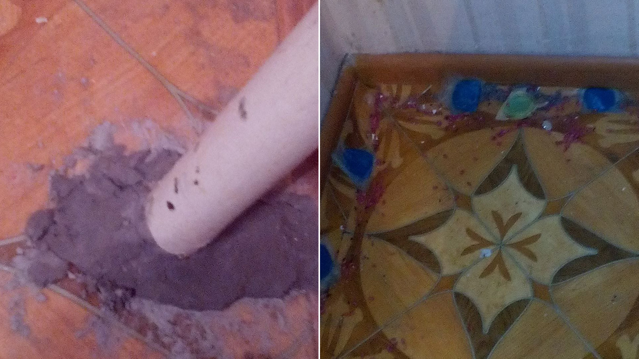 Бегают по дивану и шторам: крысы атаковали жилой дом в Челябинске