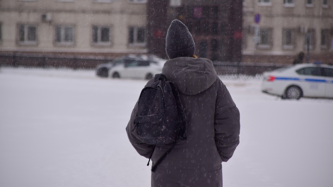 Снег и порывистый ветер прогнозируют в Челябинской области