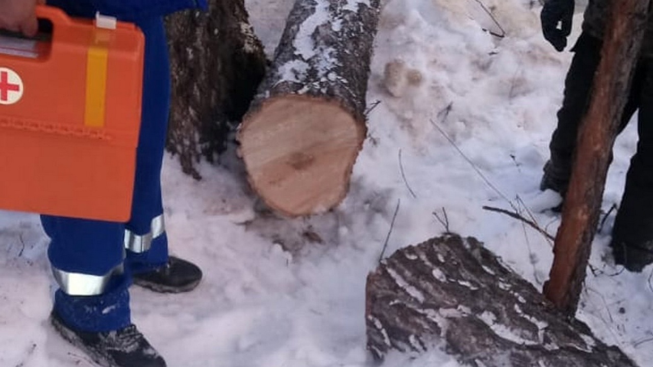 В Челябинской области упавшее дерево сломало ногу лесорубу в нескольких местах