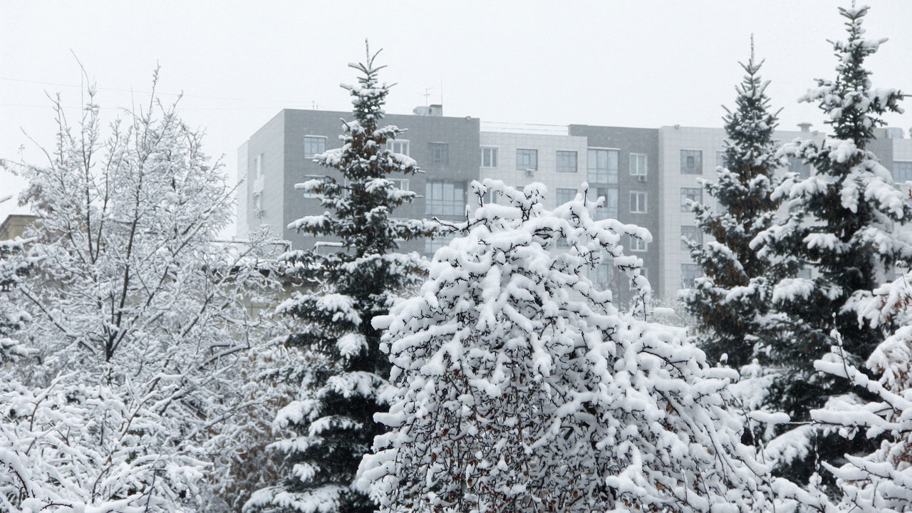 Снежная буря накроет Челябинскую область 