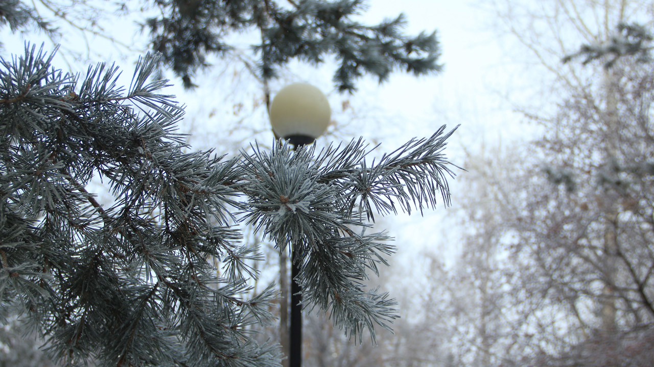 40-градусные морозы надвигаются на Челябинскую область
