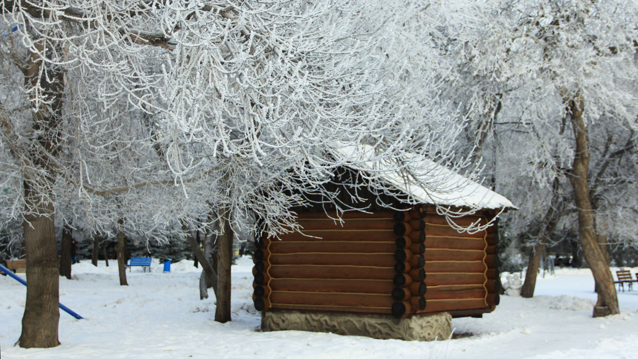 Порывистый ветер и сильные морозы прогнозируют в Челябинской области