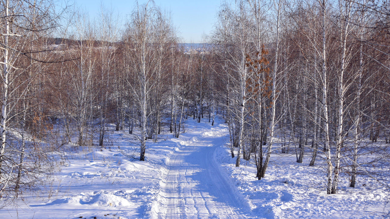 Потепление до 0°C ожидается в Челябинской области