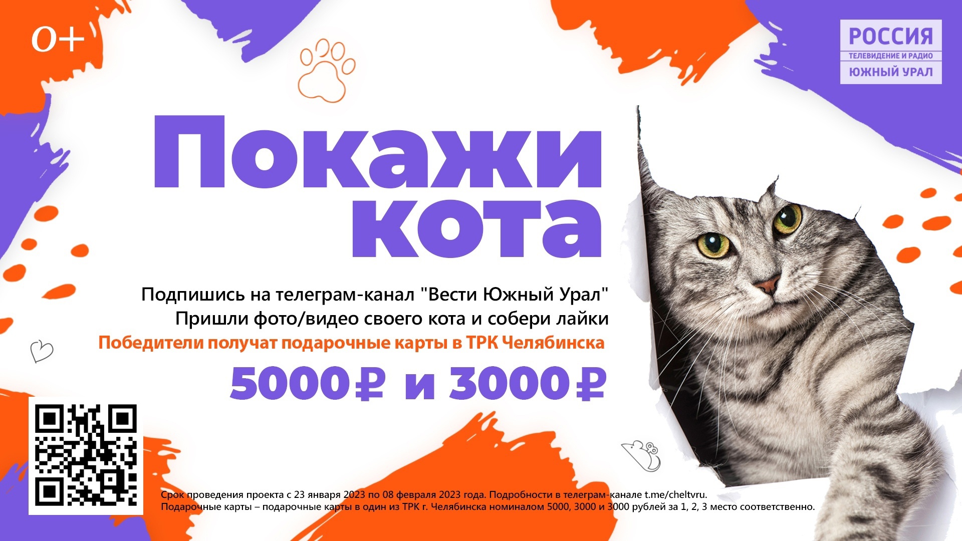 Покажи кота: как стать участником нового проекта ГТРК "Южный Урал" 