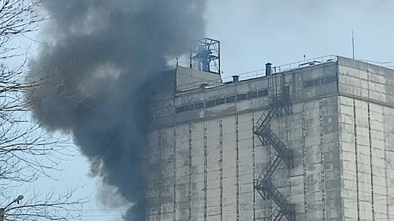 В Челябинской области произошел пожар на элеваторе: чуть не сгорела зерносушилка