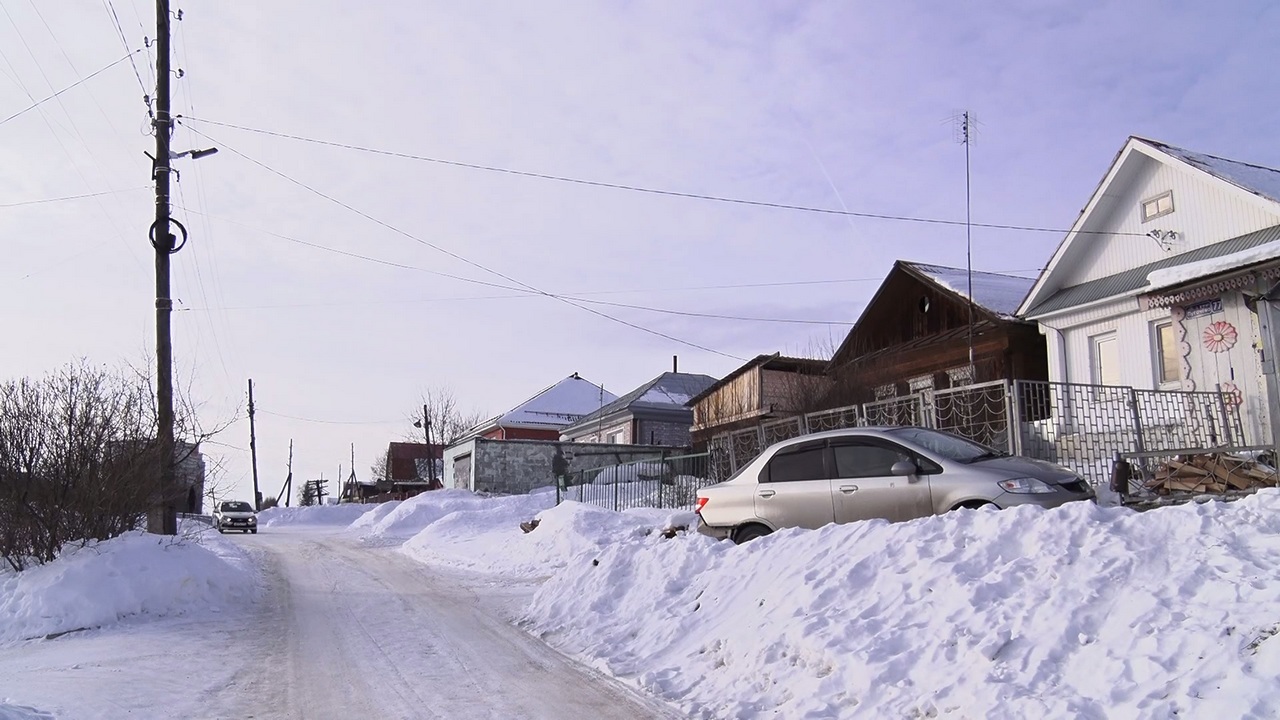 Живодера, повесившего собаку, разыскали в Челябинской области