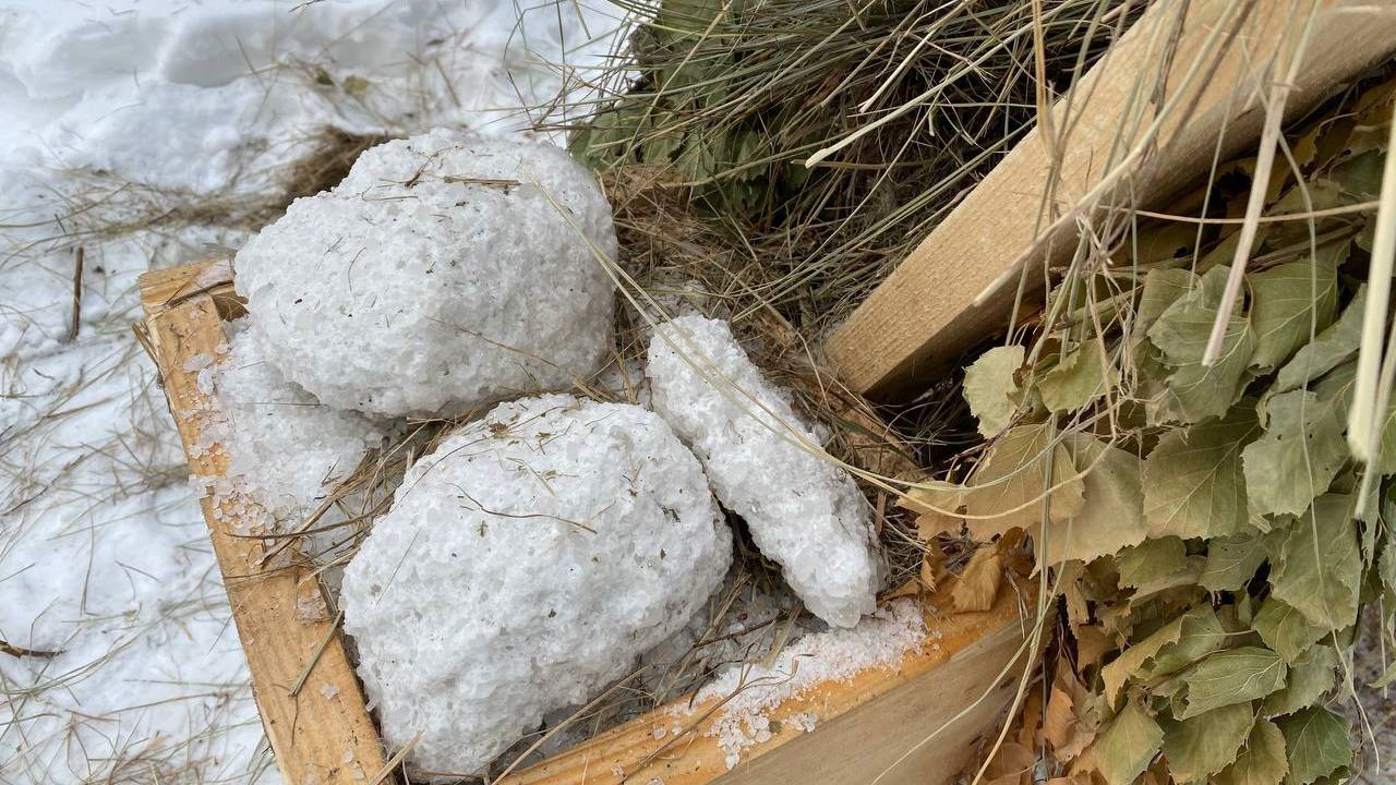 Огромная сосулька и приют для лосей: 3 идеи новогоднего путешествия на Южном Урале Огромная сосулька и приют для лосей: 3 идеи новогоднего путешествия на Южном Урале