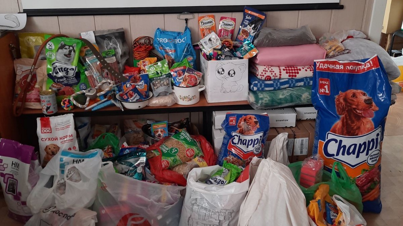 Челябинские школьники отправили на Донбасс сотни килограммов еды и лекарств для животных