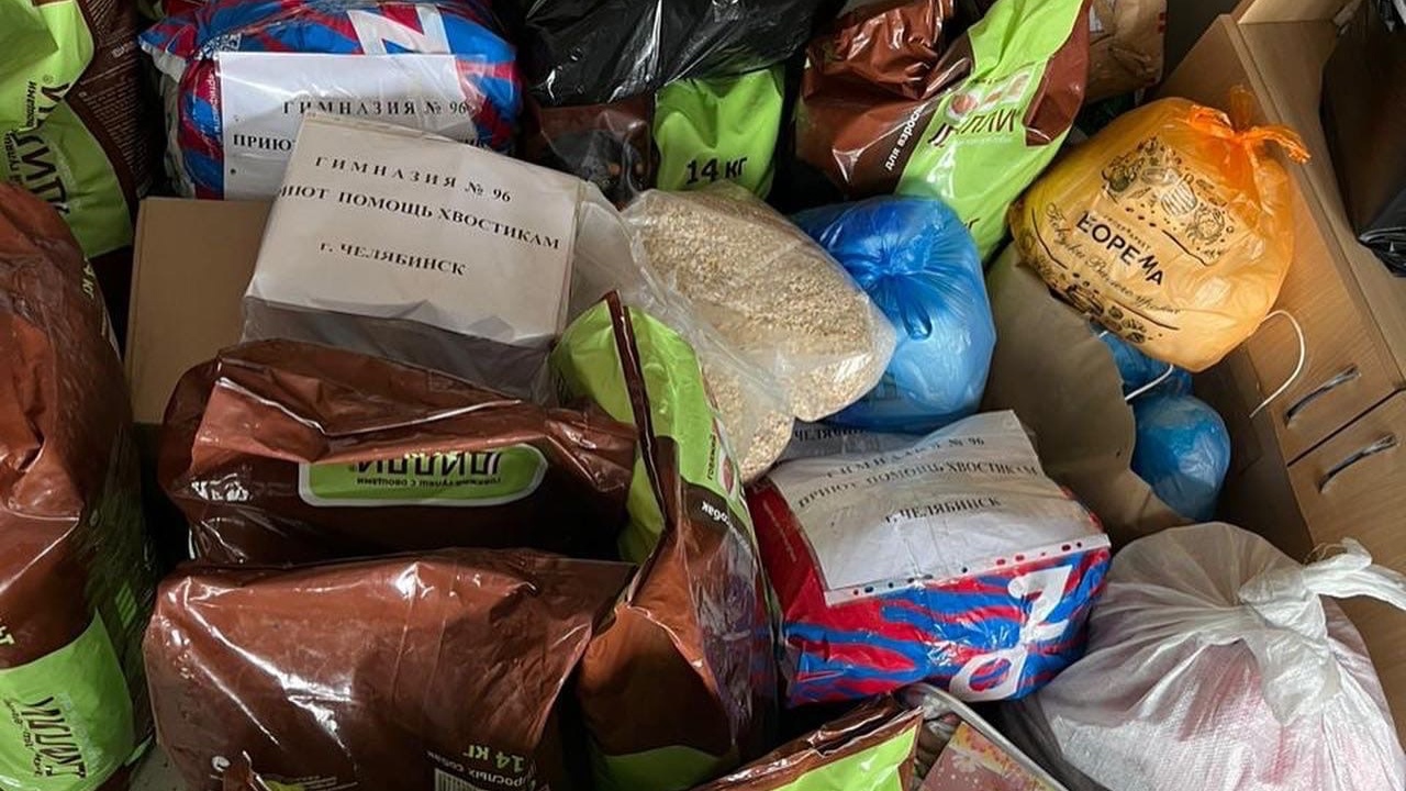 Челябинские школьники отправили на Донбасс сотни килограммов еды и лекарств для животных