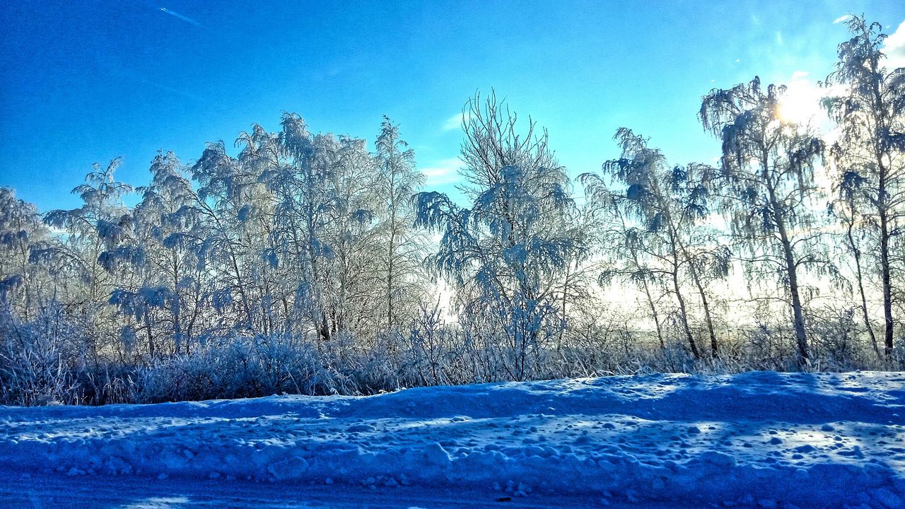 Морозы на Починки прогнозируют синоптики в Челябинской области 