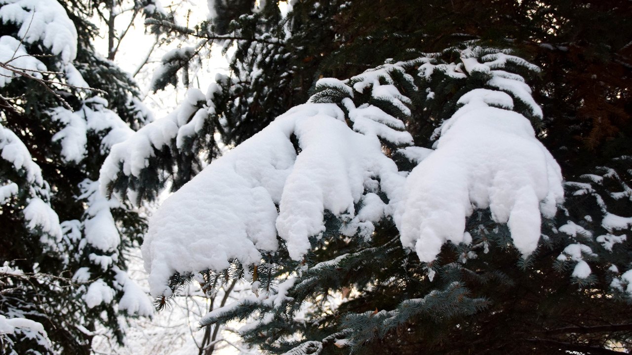 Снег, метели и гололед ожидаются в Челябинской области