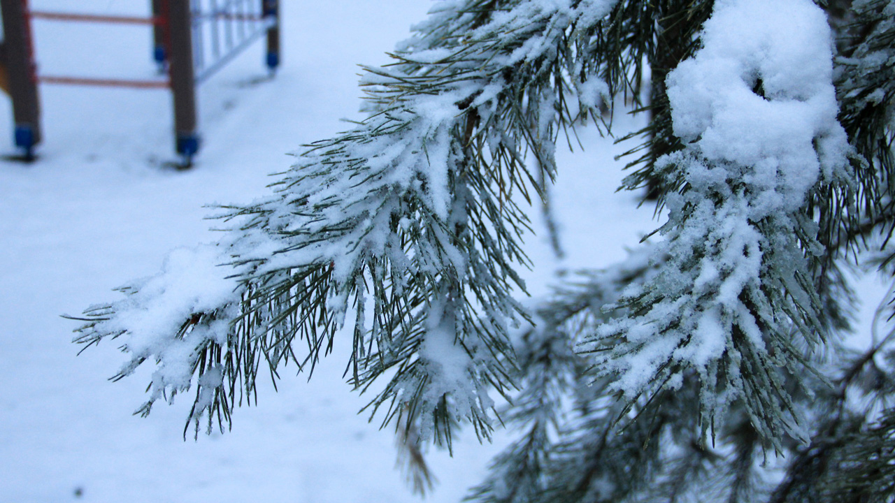 Потепление до +4°C ожидается в Челябинской области