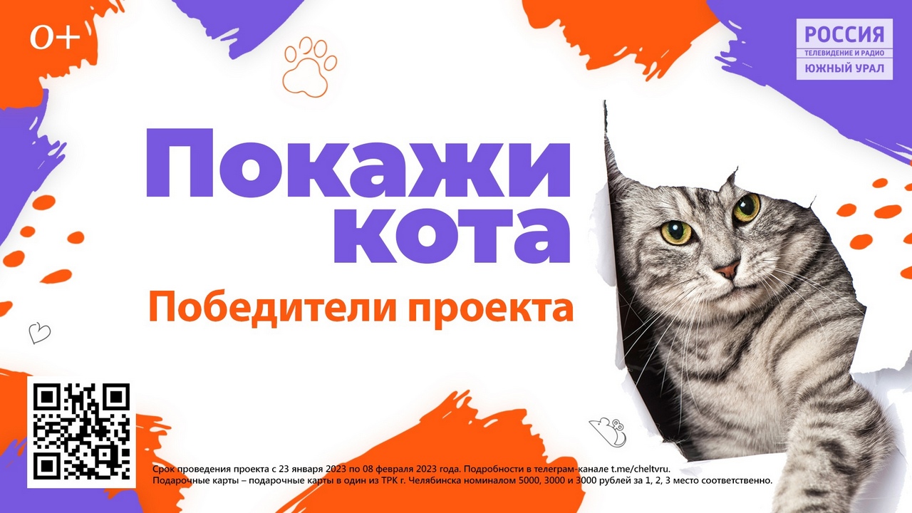 Покажи кота: кто стал победителем проекта ГТРК "Южный Урал"