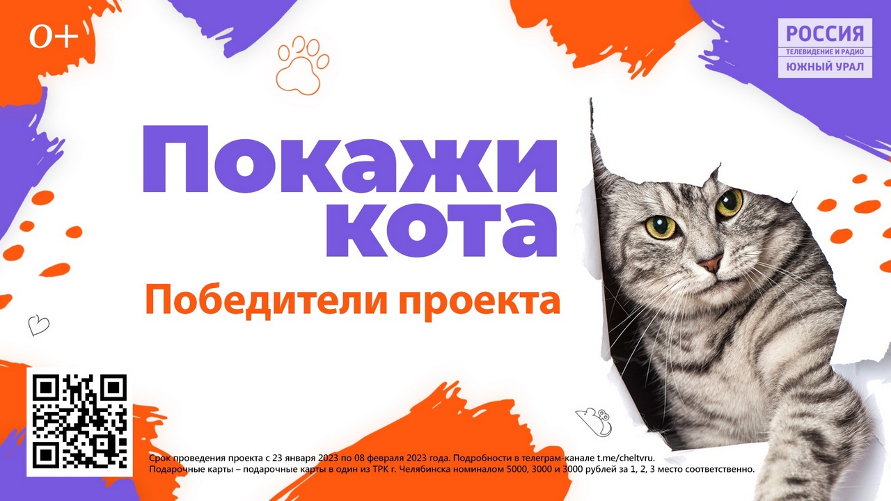 Покажи кота: кто стал победителем проекта ГТРК "Южный Урал" Покажи кота: кто стал победителем проекта ГТРК "Южный Урал"