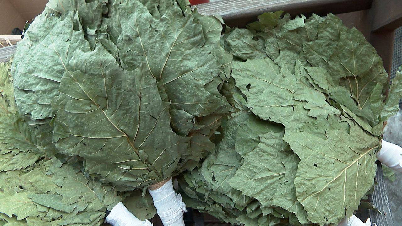 Мастерство банщиков оценили на "жарком" чемпионате в Челябинской области
