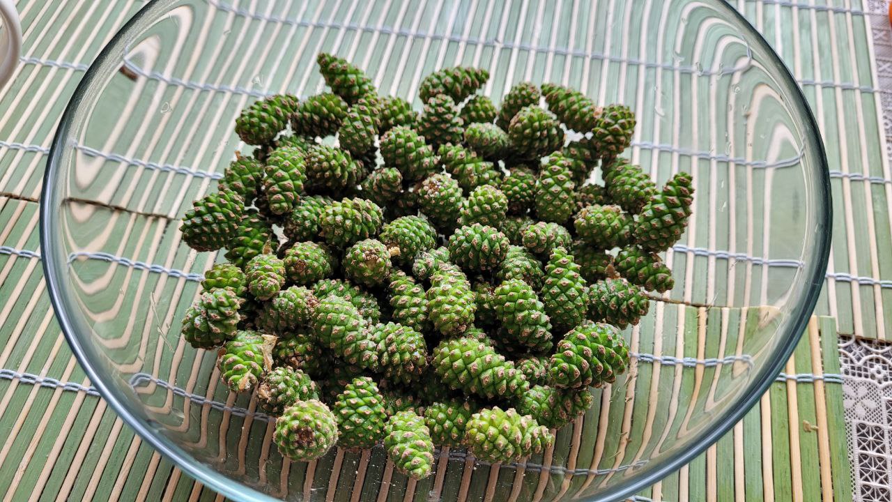 Цветные пельмени и чай на шишках можно попробовать на фестивале в Челябинской области