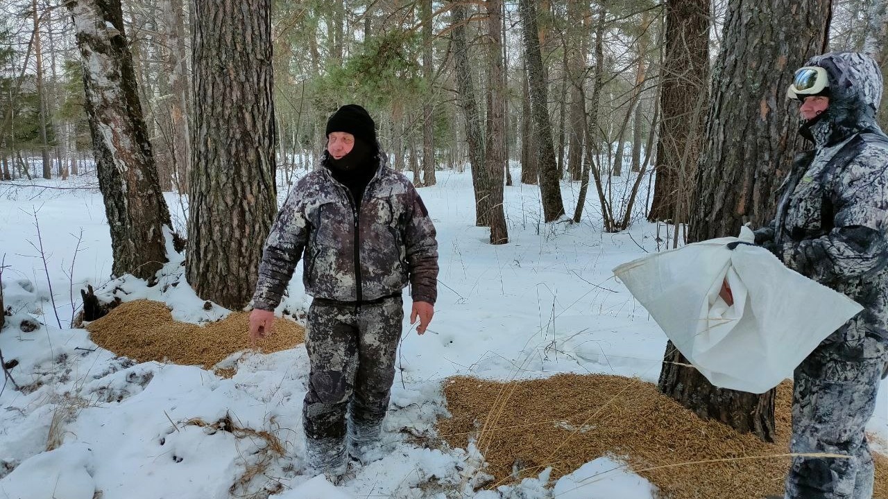 Спасение от голода: в лесах Челябинской области установили кормушки для кабанов