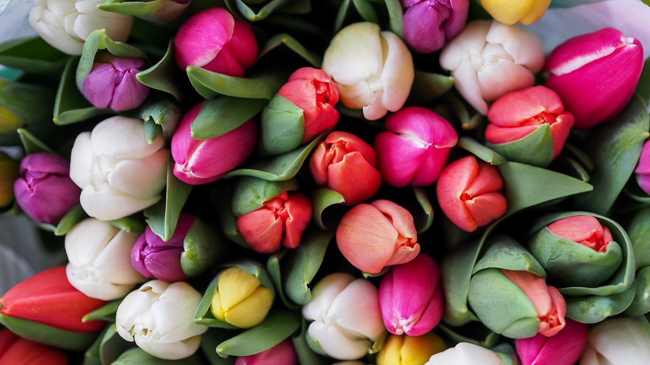 Как отдыхаем на 8 Марта в 2023 году: челябинцев ждет дополнительный выходной